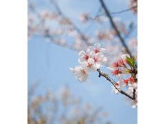 -独墅湖图书馆停车场