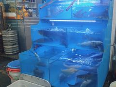 -韩妹鱼庄·泸定老字号(泸定店)