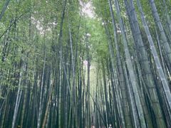 -南北湖风景区