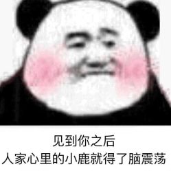 -BELLAREAL新美社