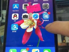 -Apple Store苹果手机电脑售后维修中心(浦东店)