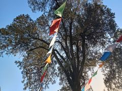 -西安市广仁寺