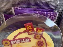 -GANSO元祖食品(锦创书城店)