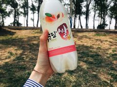 -丁香湖公园