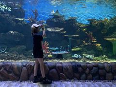 -华夏文旅海洋公园