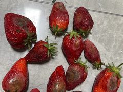 -小鱼草莓采摘园农家乐·小鱼餐厅