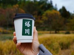 -塔川景区