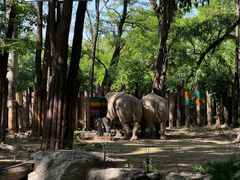 -北京野生动物园