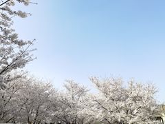-龙美术馆(西岸馆)