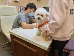 -宠爱国际动物医院·消化内科·心肾内科·ISFM猫友好(望京店)