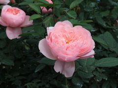 -人民公园(罗湖区)