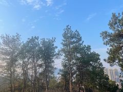 -青龙山国家森林公园