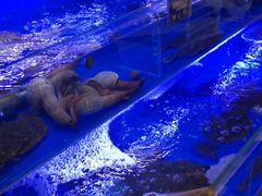 -新海渔港·胶东海鲜家常菜·家宴(奥体中心店)
