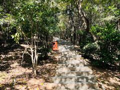 -杭州半山国家森林公园