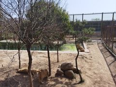 -中华郡文化旅游景区