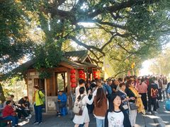-塔川景区