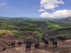 -飞天山旅游区