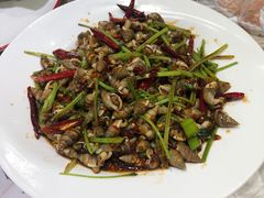 -小海丁