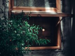 -春庄咖啡SpringHues(钟楼小区店)