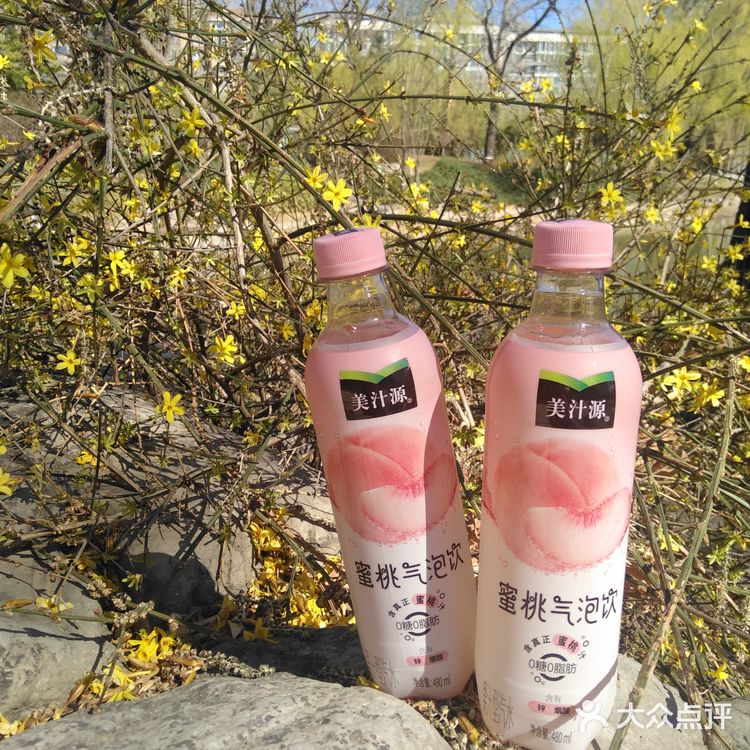 真离谱！好喝的蜜桃气泡饮，居然无人推荐