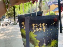 -灵谷景区