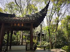 -上海佘山国家森林公园天马山园