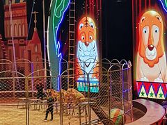 -俄罗斯国家大马戏团