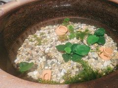 -瓦舍茶馆(聚源路店)