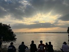 -宝安西湾红树林湿地公园