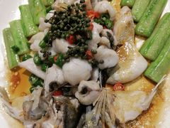 -猪肉婆私房菜(容桂总店)