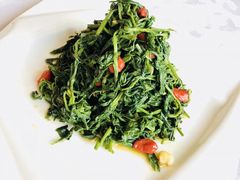 果仁菠菜-金蝉食府(维吉奥广场店)