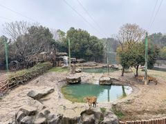 -常州淹城野生动物世界