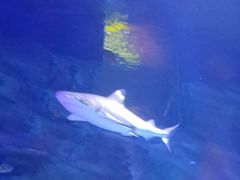 -沈阳海洋探索中心