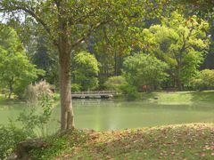-杭州植物园