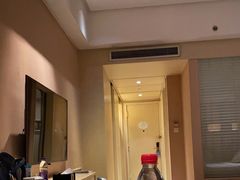 -电谷雅阁国际大酒店