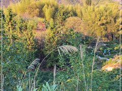 -塔川景区
