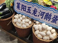 -单家老院·院子里的青岛菜(沙子口店)