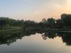 -东郊湿地公园