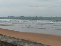 -日照海滨国家森林公园