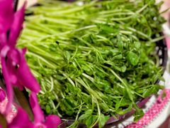 -囍凤楼·粤菜·点心·火锅(温特莱店)