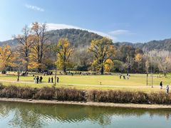 -千年银杏谷文化旅游区