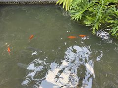 -西双版纳总佛寺
