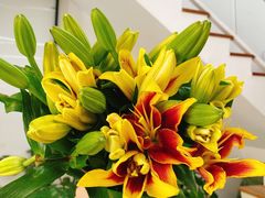 -森野花艺培训·企业团建活动沙龙