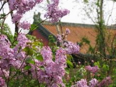 -中央音乐学院歌剧音乐厅