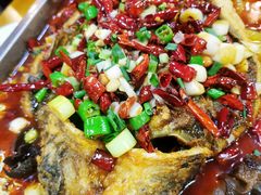 香辣烤鱼-川渝美食家常菜(北四环中路店)