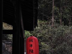 -石台牯牛降景区