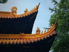 -普陀山风景名胜区-法雨禅寺