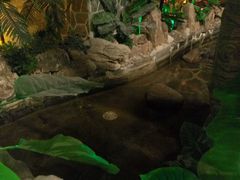 -泉城欧乐堡戏水湾艺术养生温泉