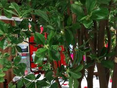 -福海居烤鸭店(鸟巢店)