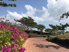 -海南鉴湖蓝湾高尔夫球会